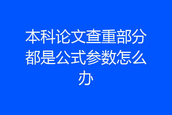 本科论文查重部分都是公式参数怎么办