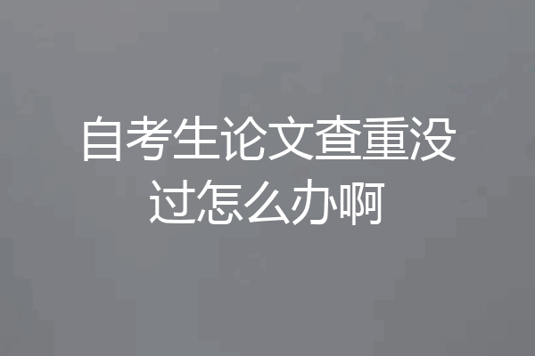 自考生论文查重没过怎么办啊