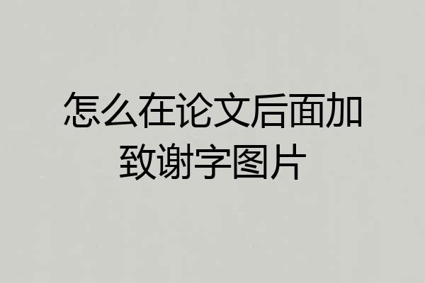 怎么在论文后面加致谢字图片