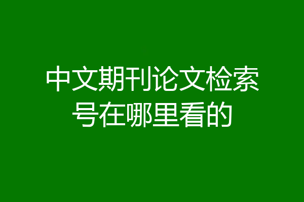 中文期刊论文检索号在哪里看的