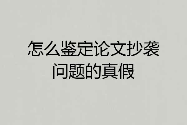 怎么鉴定论文抄袭问题的真假