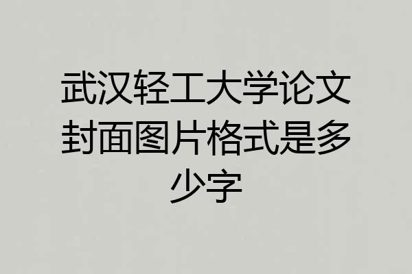 武汉轻工大学论文封面图片格式是多少字