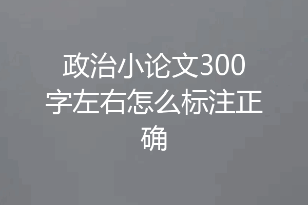 政治小论文300字左右怎么标注正确