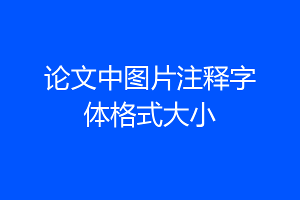 论文中图片注释字体格式大小