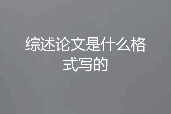 综述论文是什么格式写的