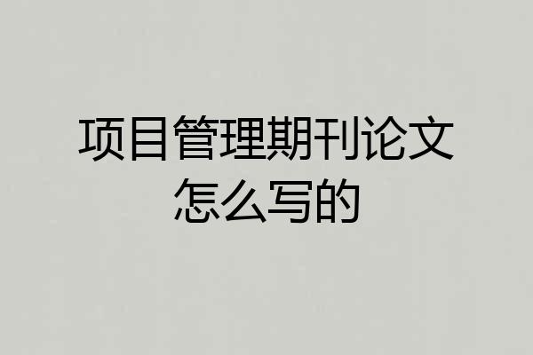 项目管理期刊论文怎么写的