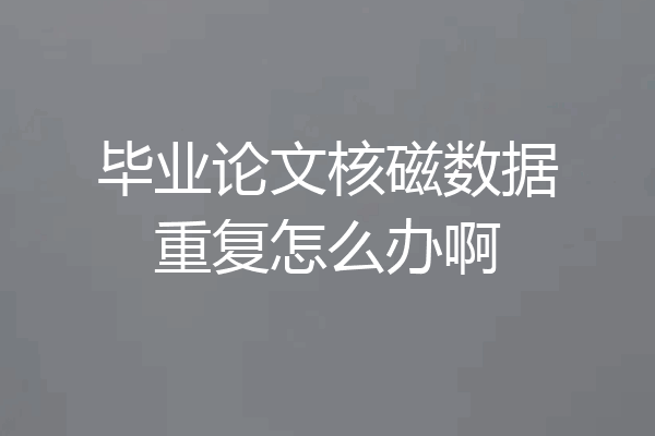 毕业论文核磁数据重复怎么办啊