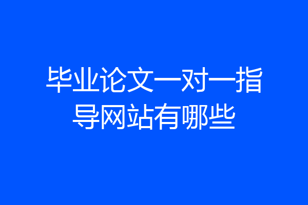 毕业论文一对一指导网站有哪些