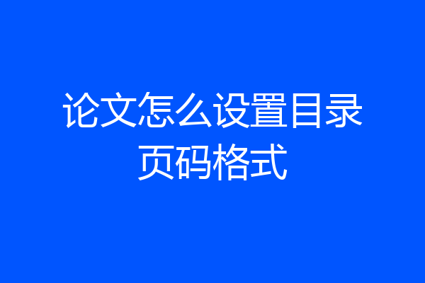 论文怎么设置目录页码格式