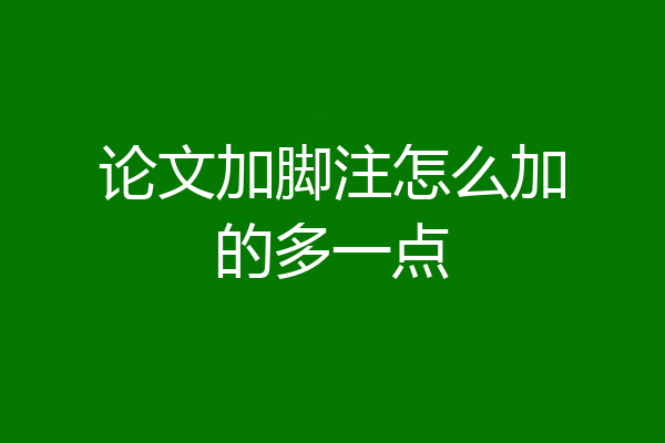 论文加脚注怎么加的多一点