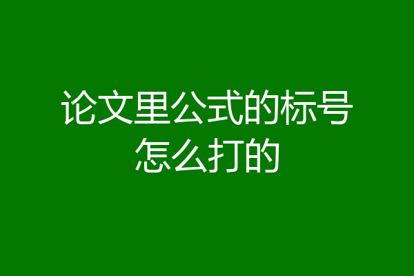 论文里公式的标号怎么打的