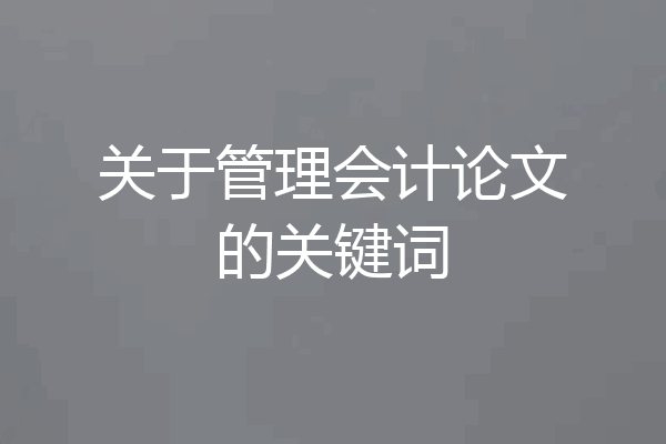关于管理会计论文的关键词