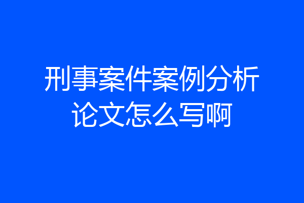 刑事案件案例分析论文怎么写啊