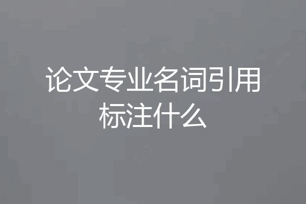 论文专业名词引用标注什么