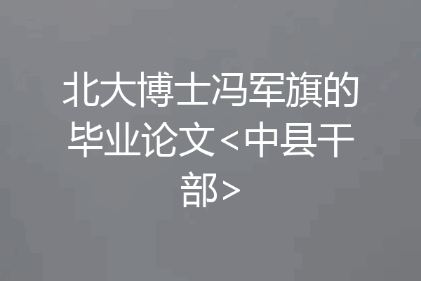 北大博士冯军旗的毕业论文<中县干部>