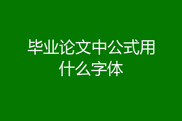 毕业论文中公式用什么字体