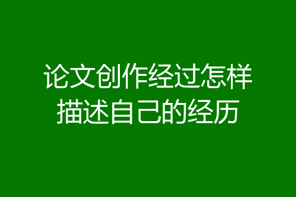 论文创作经过怎样描述自己的经历