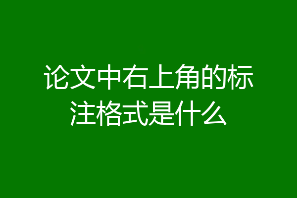 论文中右上角的标注格式是什么