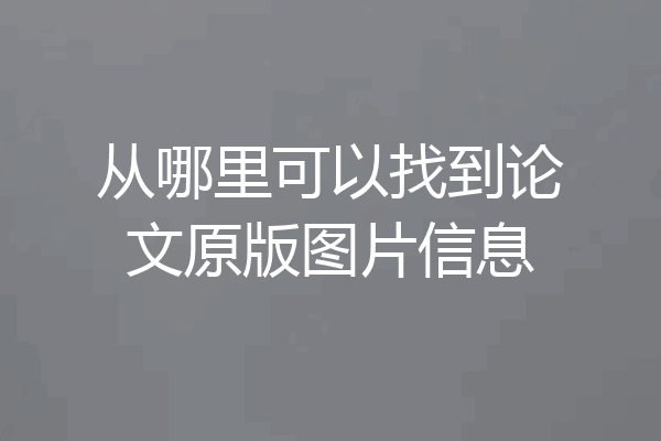 从哪里可以找到论文原版图片信息