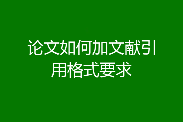 论文如何加文献引用格式要求
