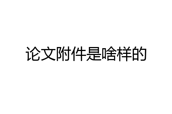 论文附件是啥样的