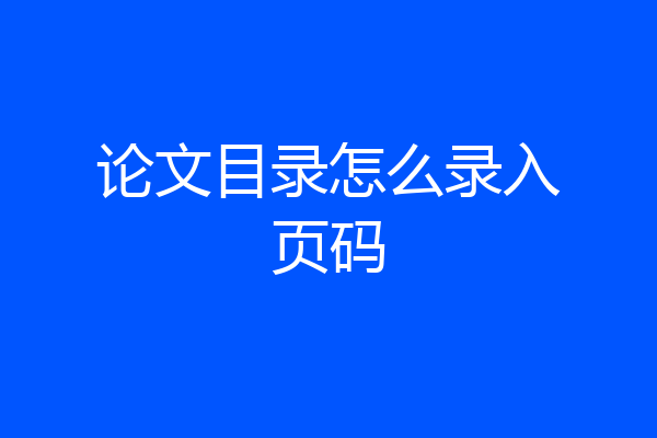 论文目录怎么录入页码
