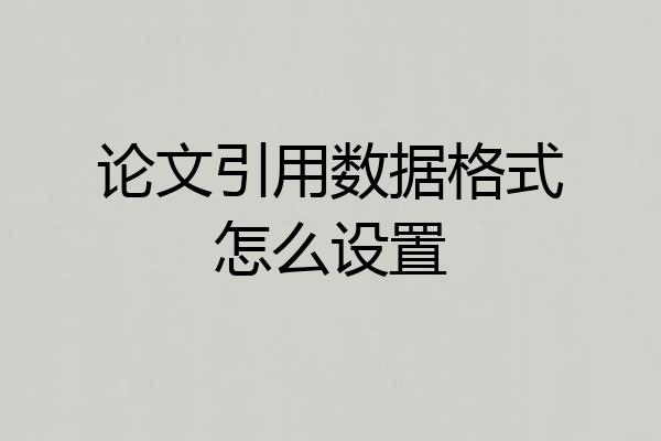 论文引用数据格式怎么设置