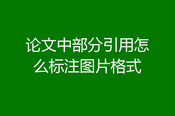论文中部分引用怎么标注图片格式