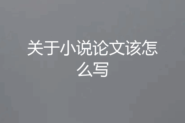 关于小说论文该怎么写