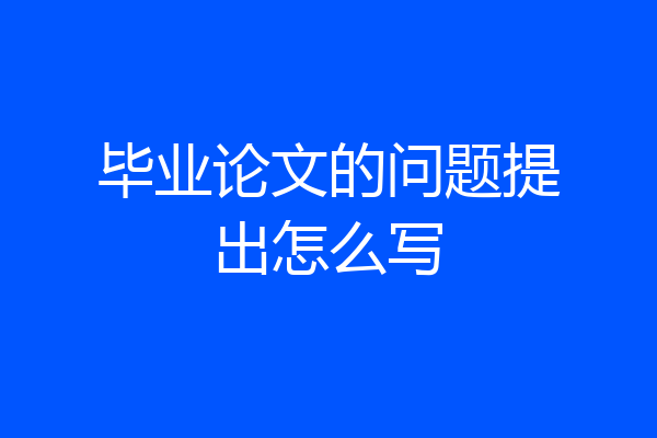 毕业论文的问题提出怎么写