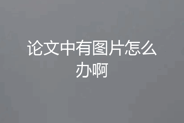 论文中有图片怎么办啊