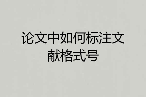 论文中如何标注文献格式号