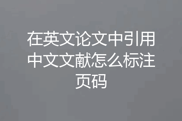 在英文论文中引用中文文献怎么标注页码