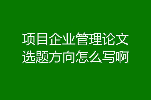 项目企业管理论文选题方向怎么写啊