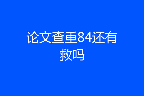 论文查重84还有救吗