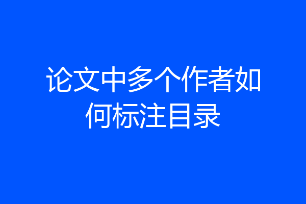 论文中多个作者如何标注目录