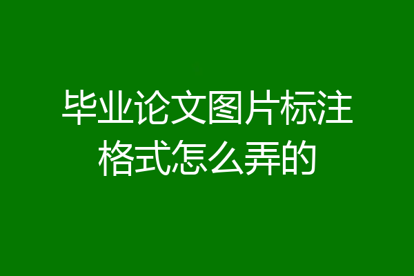毕业论文图片标注格式怎么弄的