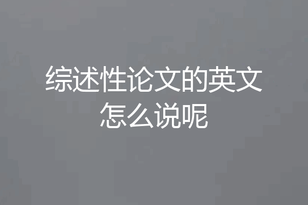 综述性论文的英文怎么说呢