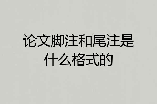 论文脚注和尾注是什么格式的