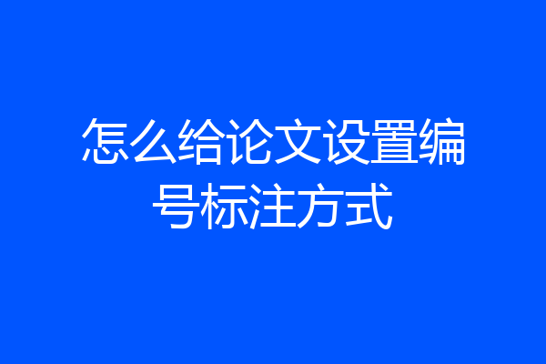 怎么给论文设置编号标注方式