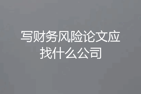 写财务风险论文应找什么公司