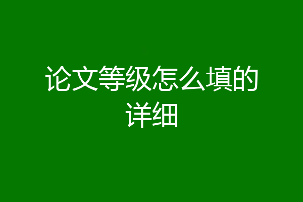 论文等级怎么填的详细
