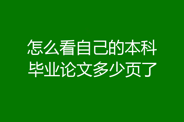 怎么看自己的本科毕业论文多少页了