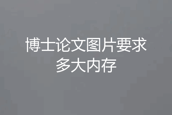 博士论文图片要求多大内存