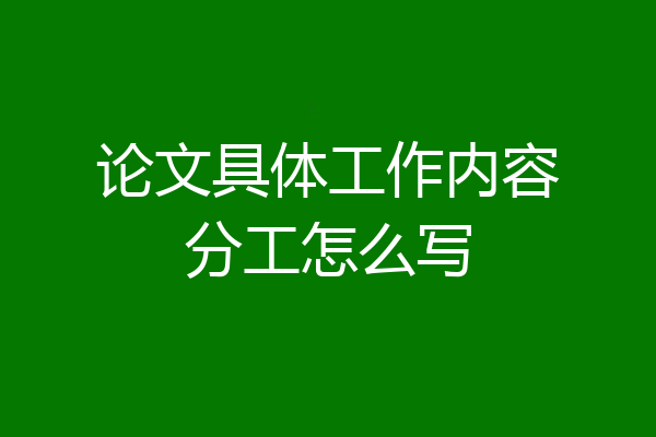 论文具体工作内容分工怎么写