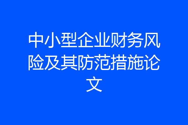 中小型企业财务风险及其防范措施论文