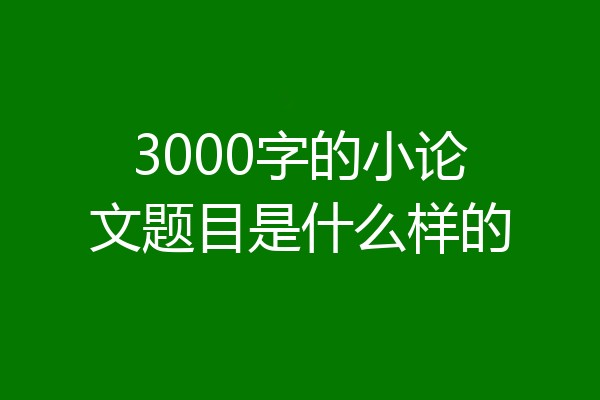 3000字的小论文题目是什么样的