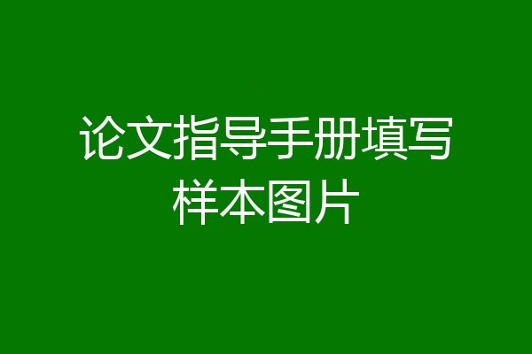 论文指导手册填写样本图片