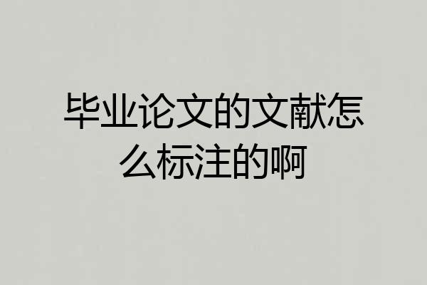 毕业论文的文献怎么标注的啊