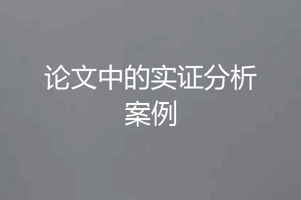 论文中的实证分析案例